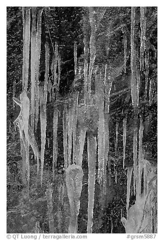 Icicles on rock face, Tennessee. Great Smoky Mountains National Park (black and white)