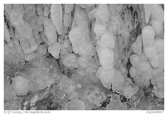 Close-up of round ice formations, Tennessee. Great Smoky Mountains National Park (black and white)