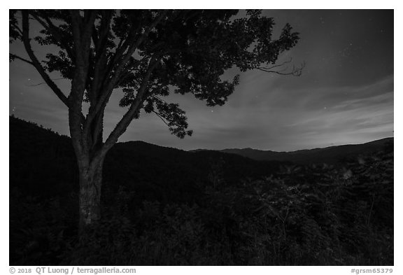View from Cataloochee Overlook at night, North Carolina. Great Smoky Mountains National Park (black and white)