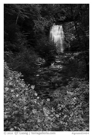 Meigs Falls, Tennessee. Great Smoky Mountains National Park (black and white)