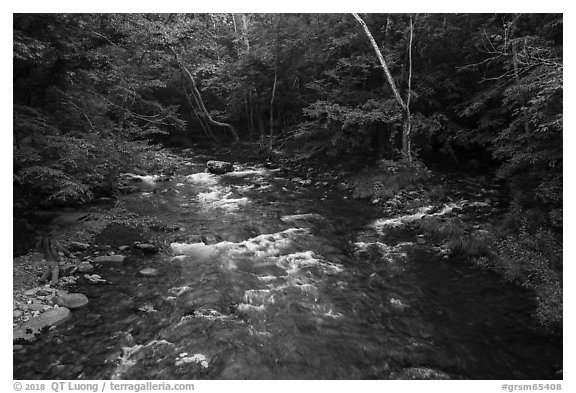 Visitor Looking, Little River, Tennessee. Great Smoky Mountains National Park (black and white)