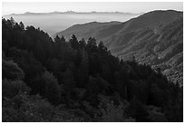 Ridges from Newfound Gap, North Carolina. Great Smoky Mountains National Park ( black and white)