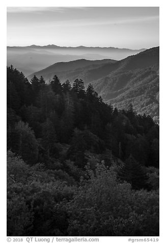 Ridges from Newfound Gap in summer, North Carolina. Great Smoky Mountains National Park (black and white)