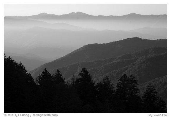 Ridges from Newfound Gap, early morning, North Carolina. Great Smoky Mountains National Park (black and white)