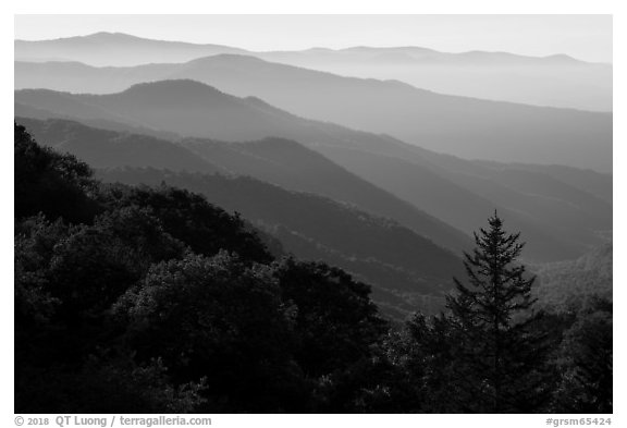 Receding valley and stacked ridges, early morning, North Carolina. Great Smoky Mountains National Park (black and white)