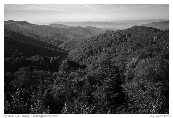 View from Deep Creek Overlook in summer, North Carolina. Great Smoky Mountains National Park (black and white)