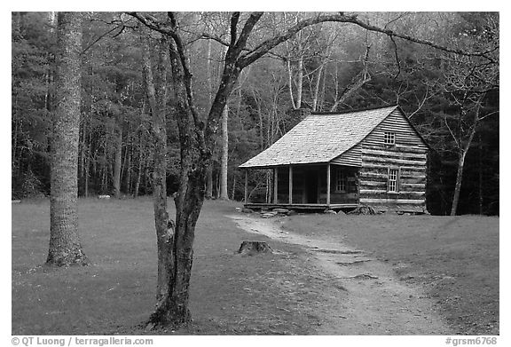 Path leading to historic abin, Cades Cove, Tennessee. Great Smoky Mountains National Park (black and white)