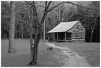 Path leading to historic abin, Cades Cove, Tennessee. Great Smoky Mountains National Park, USA. (black and white)