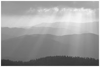 God's rays and ridges from Clingmans Dome, early morning, North Carolina. Great Smoky Mountains National Park, USA. (black and white)
