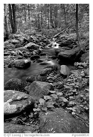 Mossy boulders and Cosby Creek, Tennessee. Great Smoky Mountains National Park, USA.