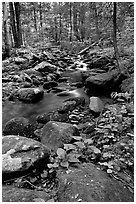 Mossy boulders and Cosby Creek, Tennessee. Great Smoky Mountains National Park, USA. (black and white)