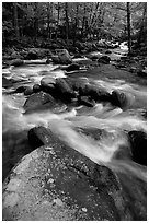 Boulders in confluence of rivers, Greenbrier, Tennessee. Great Smoky Mountains National Park, USA. (black and white)