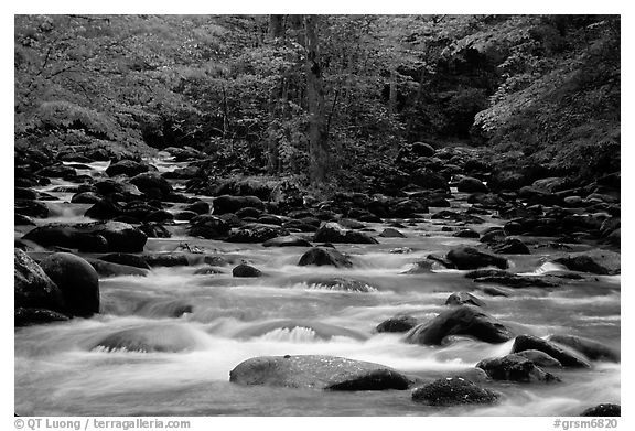 Middle Prong of the Little Pigeon River, Tennessee. Great Smoky Mountains National Park, USA.