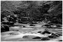 Middle Prong of the Little Pigeon River, Tennessee. Great Smoky Mountains National Park, USA. (black and white)