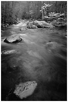 Flowing water, Middle Prong of the Little River, Tennessee. Great Smoky Mountains National Park, USA. (black and white)
