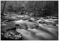 Water flowing over boulders in the spring, Treemont, Tennessee. Great Smoky Mountains National Park, USA. (black and white)