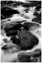 Stream flowing over mossy boulders, Roaring Fork, Tennessee. Great Smoky Mountains National Park, USA. (black and white)