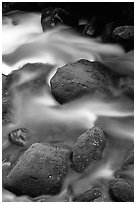 Mossy boulders and silky water, Roaring Fork River, Tennessee. Great Smoky Mountains National Park, USA. (black and white)