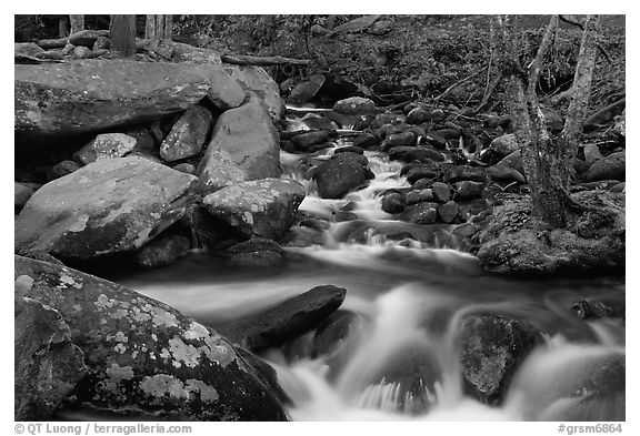 Roaring Fork River Cascades and boulders, Tennessee. Great Smoky Mountains National Park, USA.