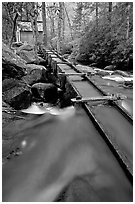 Flume to Reagan's Mill from Roaring Fork River, Tennessee. Great Smoky Mountains National Park, USA. (black and white)