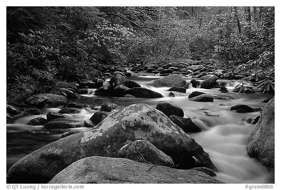 River cascading along mossy boulders, Roaring Fork, Tennessee. Great Smoky Mountains National Park (black and white)