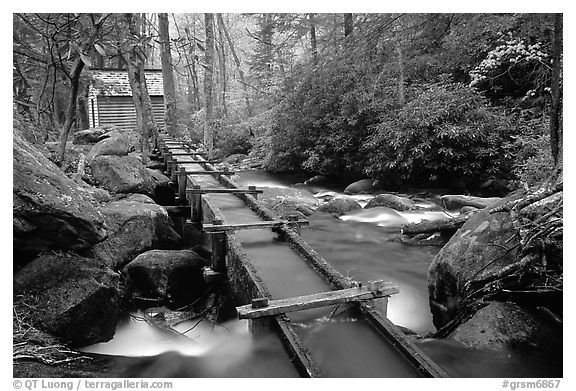 Flume carrying water to Reagan's mill next to Roaring Fork River, Tennessee. Great Smoky Mountains National Park (black and white)