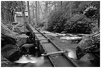 Flume carrying water to Reagan's mill next to Roaring Fork River, Tennessee. Great Smoky Mountains National Park, USA. (black and white)