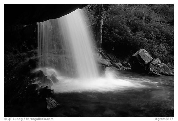 Grotto falls from behind, evening, Tennessee. Great Smoky Mountains National Park (black and white)