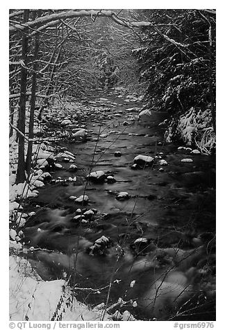 Creek and snowy trees in winter, Tennessee. Great Smoky Mountains National Park, USA.