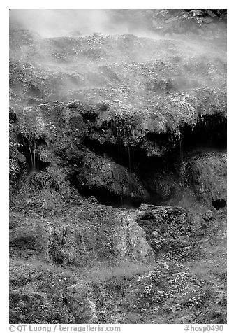 Thermal springs flowing over tufa terrace. Hot Springs National Park (black and white)