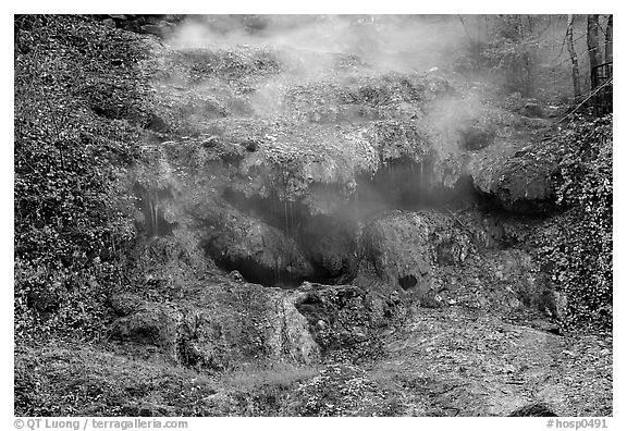 Thermal spring water flowing over tufa terrace. Hot Springs National Park, Arkansas, USA.