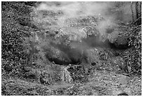 Thermal spring water flowing over tufa terrace. Hot Springs National Park, Arkansas, USA. (black and white)