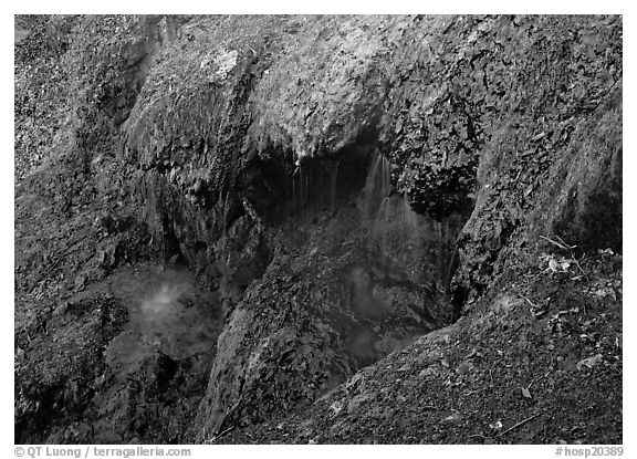 Cascade over tufa terrace. Hot Springs National Park (black and white)