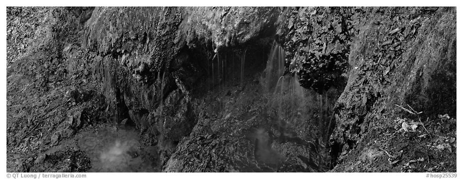 Cascade over tufa spring. Hot Springs National Park (black and white)