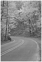 Road curve and fall colors on West Mountain. Hot Springs National Park, Arkansas, USA. (black and white)