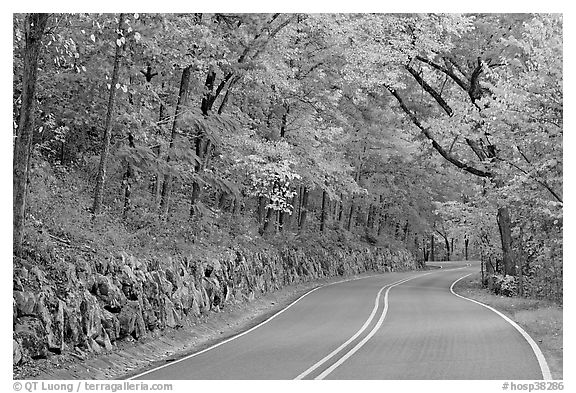 Rood, stone wall, fall colors, West Mountain. Hot Springs National Park (black and white)