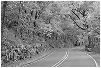 Rood, stone wall, fall colors, West Mountain. Hot Springs National Park, Arkansas, USA. (black and white)