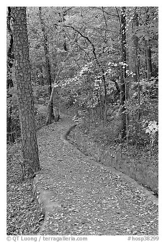 Built trail and fall colors, Hot Spring Mountain. Hot Springs National Park (black and white)
