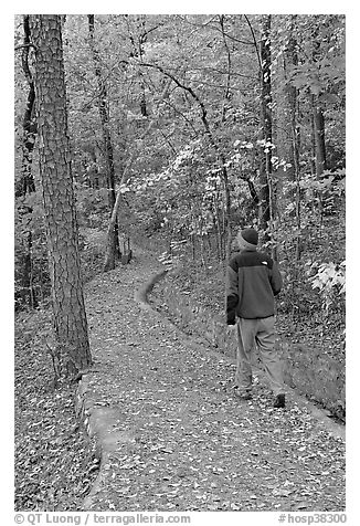Hiker on trail amongst fall colors, Hot Spring Mountain. Hot Springs National Park (black and white)