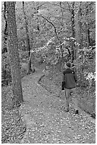 Hiker on trail amongst fall colors, Hot Spring Mountain. Hot Springs National Park, Arkansas, USA. (black and white)