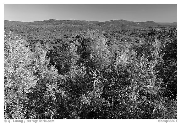 Vista with trees in fall colors, North Mountain, early morning. Hot Springs National Park (black and white)