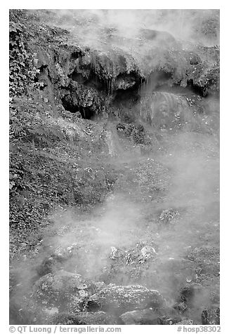 Steam rising from hot water cascade. Hot Springs National Park (black and white)