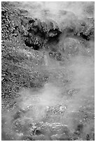 Steam rising from hot water cascade. Hot Springs National Park, Arkansas, USA. (black and white)