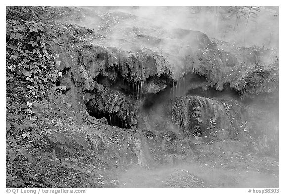 Steam and tufa terrace. Hot Springs National Park (black and white)