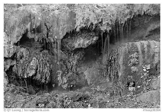 Hot water flowing over tufa terrace. Hot Springs National Park (black and white)