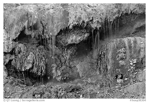 Hot water flowing over tufa terrace. Hot Springs National Park, Arkansas, USA.