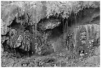 Hot water flowing over tufa terrace. Hot Springs National Park, Arkansas, USA. (black and white)