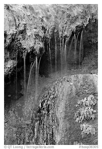 Hot springs water flowing over tufa terrace. Hot Springs National Park (black and white)