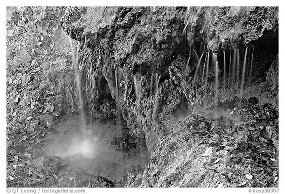 Hot water from springs flowing over tufa rock. Hot Springs National Park (black and white)