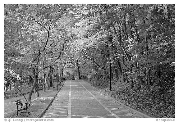 Grand Promenade in the fall. Hot Springs National Park (black and white)